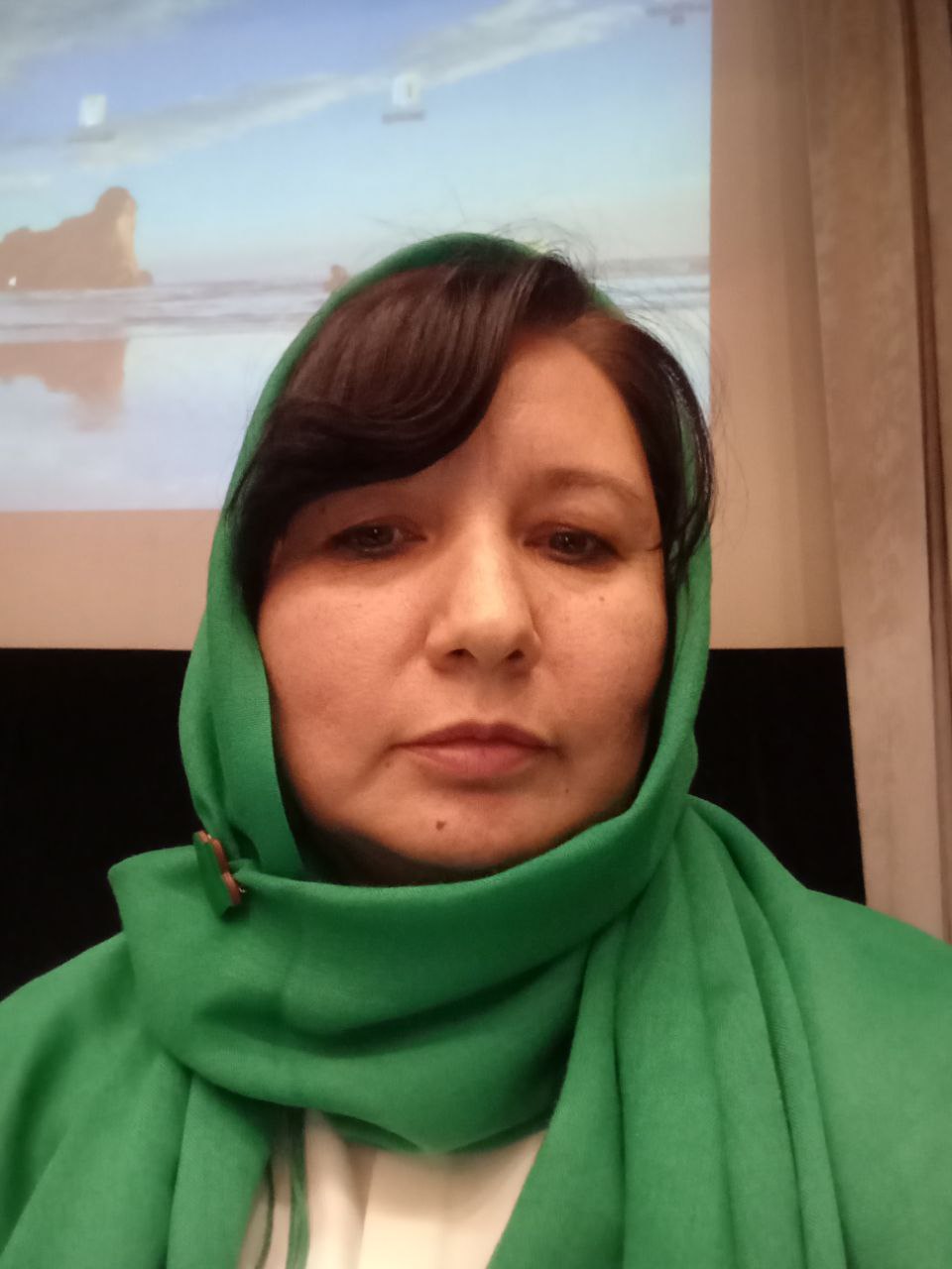 د. سيفالدينوفنا إلميرا